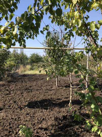 Участок 5,46 га (ИЖС)