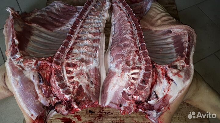 Свинина домашняя, Мясо, кабан