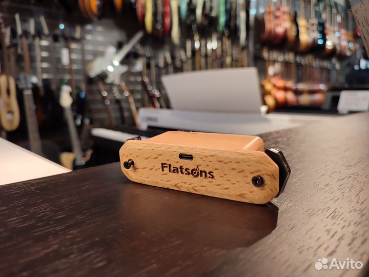 Звукосниматель Flatsons FR6