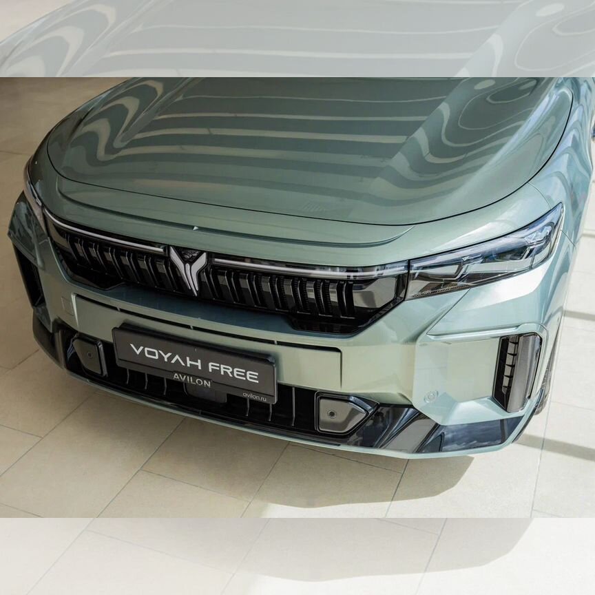 Nao Enfermedades con colágeno defectuoso | Amazon.com.br