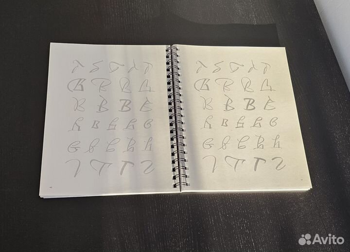 Фицнер Виктор Экспрессивная каллиграфия 20 стилей