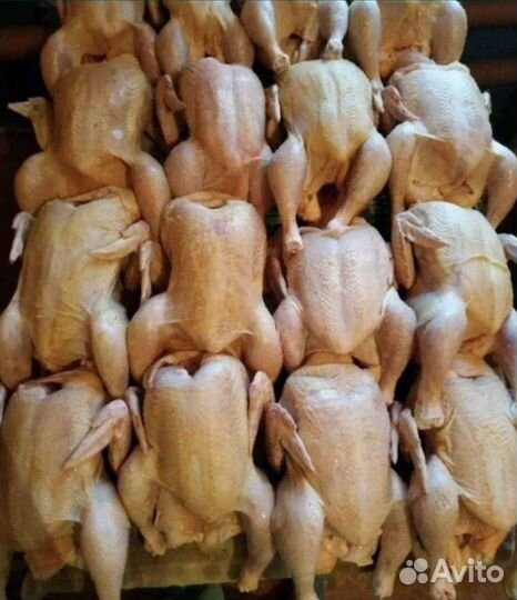 Мясо бройлера