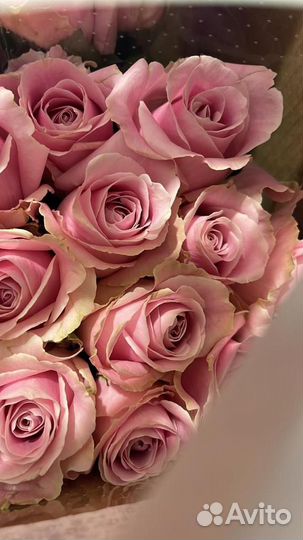 Розы с крупным бутоном 60 см