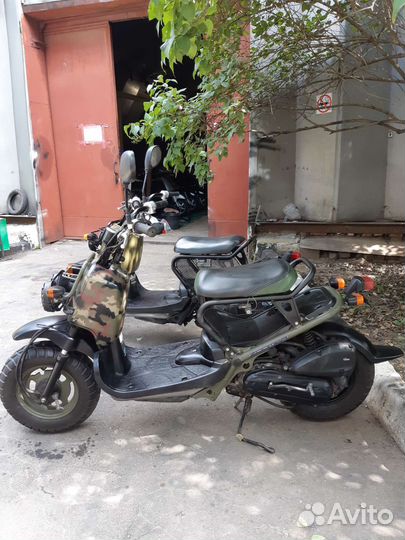 Honda zoomer militari с японского контейнера
