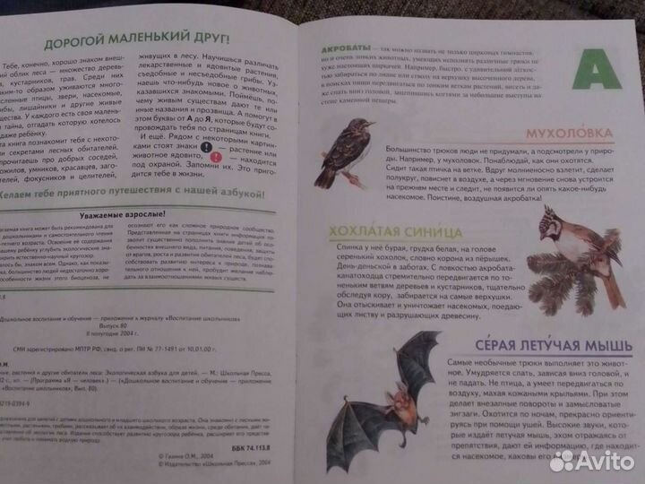 Животные, растения и другие обитатели леса