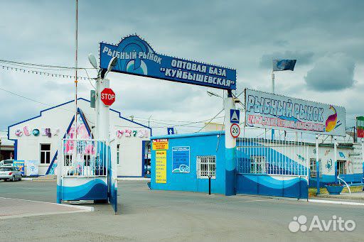 Грузчик на рыбный рынок (продукты)