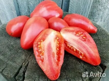 Семена томатов серии Гном