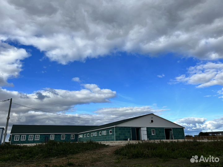 Постой для лошадей