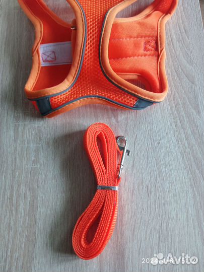 Шлейка для собаки светоотражающая с поводком