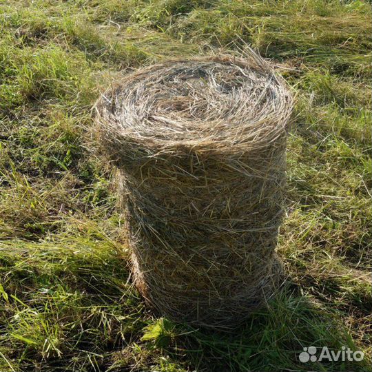 Сено в тюках