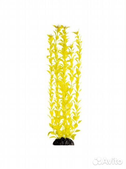 Растение Людвигия ярко-желтая, 500мм