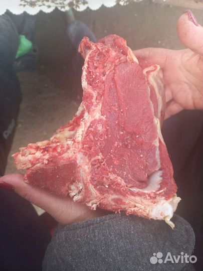 Мясоконина,казы,говядина,свинина,копчён конин-свин