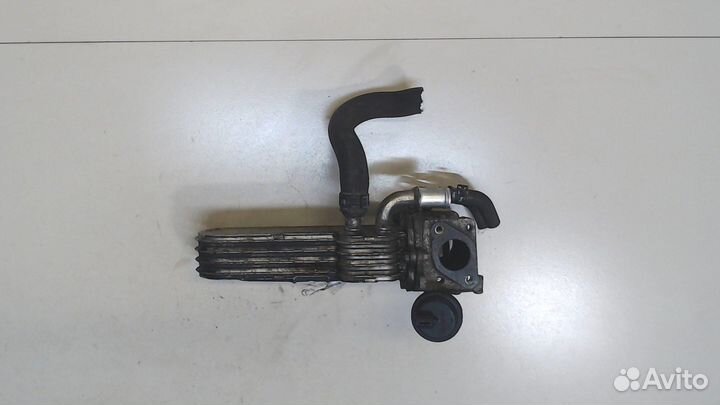 Охладитель отработанных газов Seat Altea, 2009