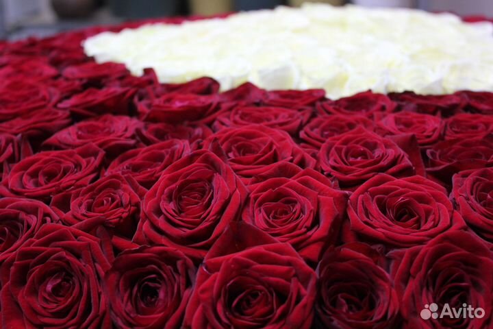 Розы, Пионы, Тюльпаны. Доставка 0 Руб