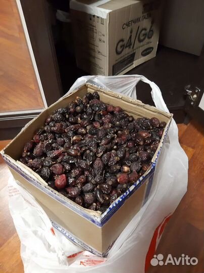 Шиповник сушеный