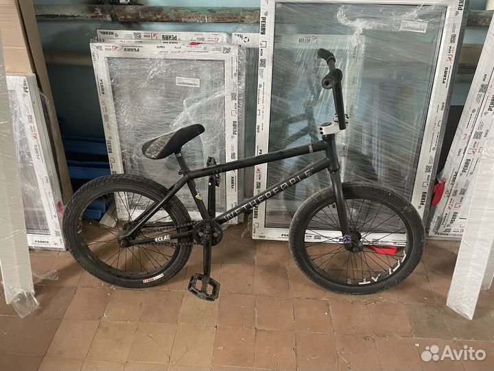 Bmx animal eclat wtp salt plus дёрбан