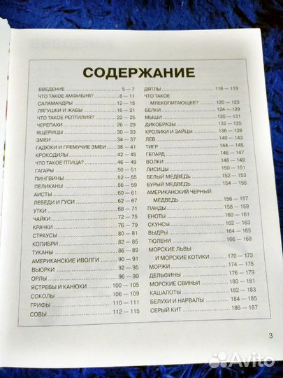 Энциклопедия для детей