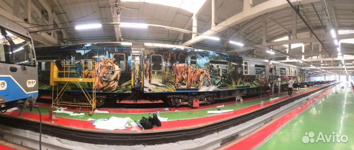 Обучение оклейке автовинилом и полиуретаном