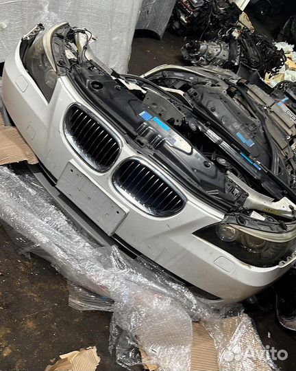 Ноускаты ф10 ф02