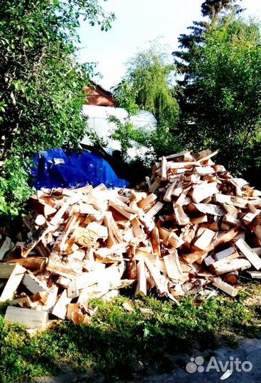 Дрова Ольха навалом в Сертолово от производителя