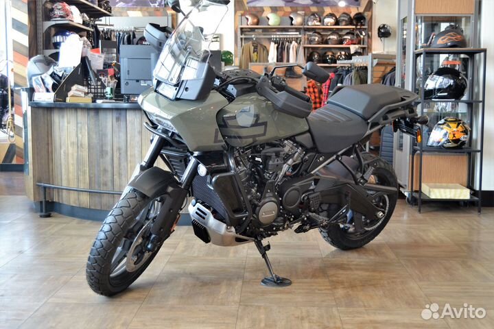 Pan America 1250 Special - Deadwood Green 