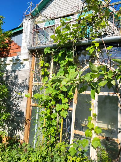 Дача 120,1 м² на участке 10 сот.