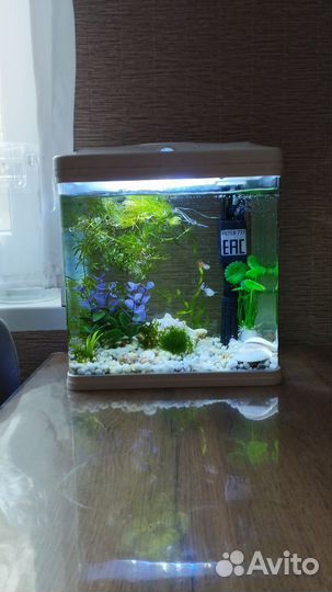 Аквариум с рыбками