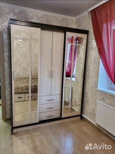 Шкаф-купе Розмарин комби