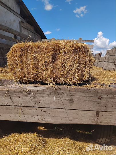 Тюки ячмень