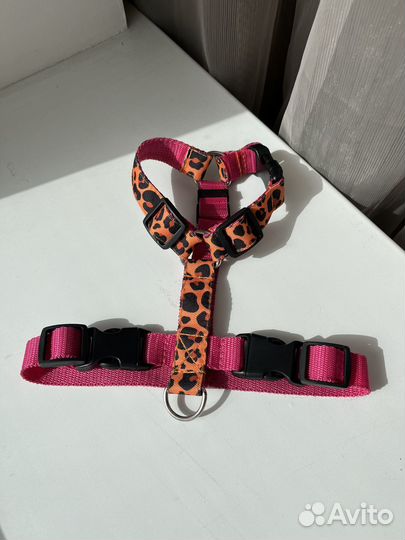 Анатомическая шлейка для собак