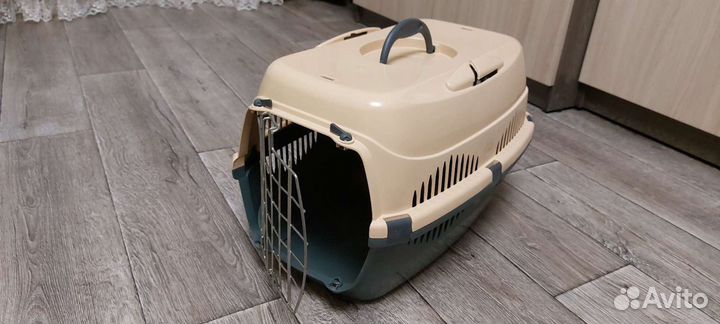Аренда переноски для кошек и маленьких собак