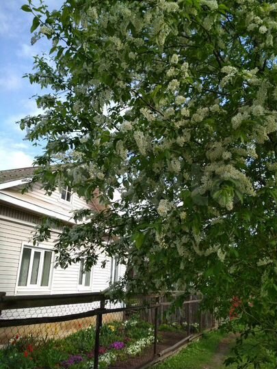 Дом 40 м² на участке 7 сот.