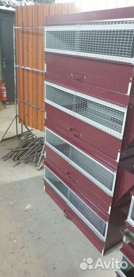 Брудер для цыплят всегда есть в наличии