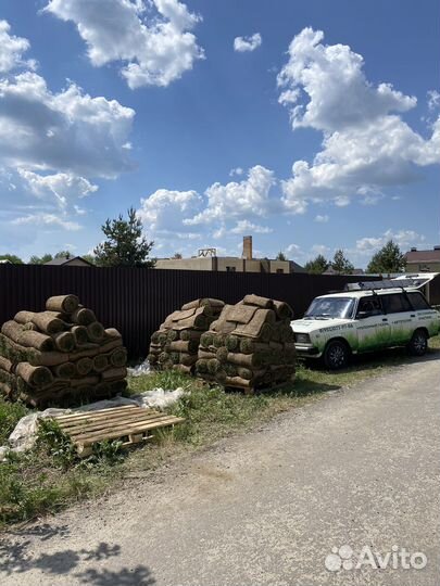 Рулонный газон под ключ