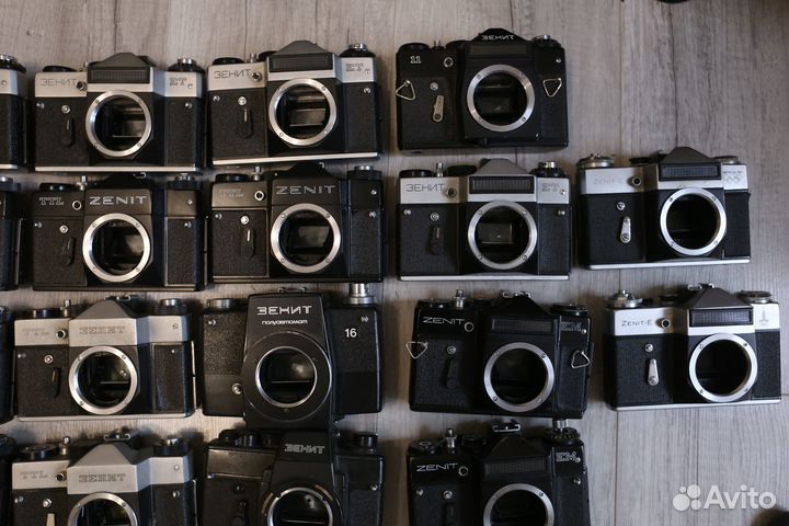 Тушки Зенит большой выбор 11.08.23