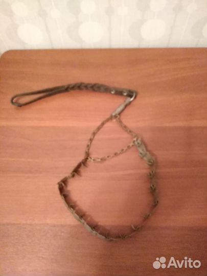 Строгий ошейник с коротким поводком