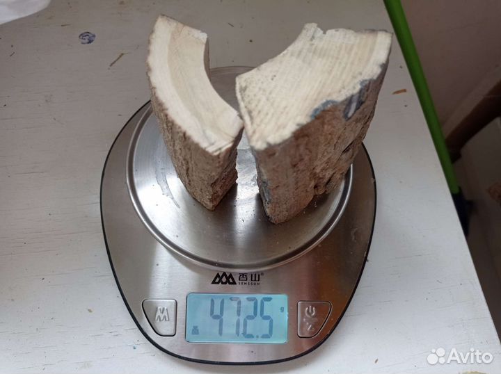Бивень мамонта