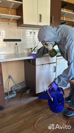 Дезинсекция от тараканов и клопов любых насекомых