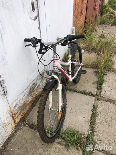 Горный велосипед Stern Leeloo 24