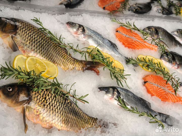 В продаже готовый бизнес – магазин рыбы