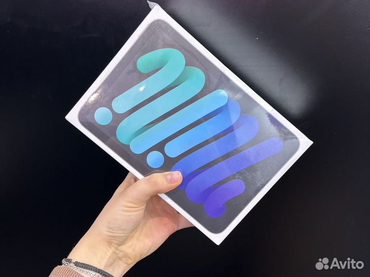 iPad mini 6 64Gb Wi-Fi Gray