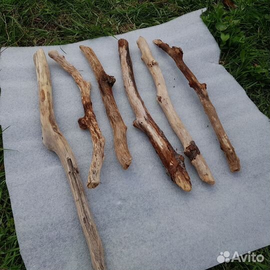 Коряги дрифтвуд из моря