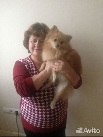 Клининг уборка помещений