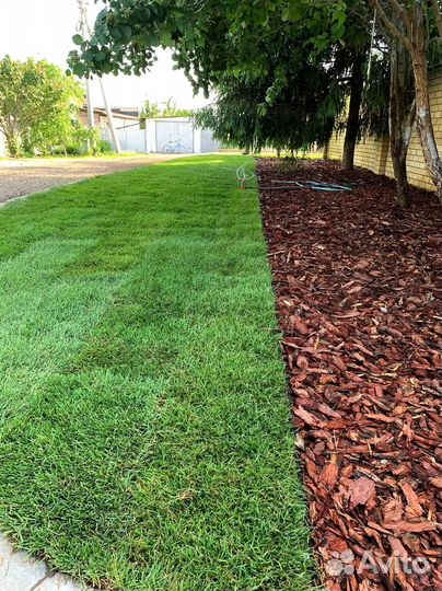 Рулонный газон под ключ