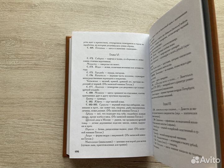 Книга «Мёртвые души»