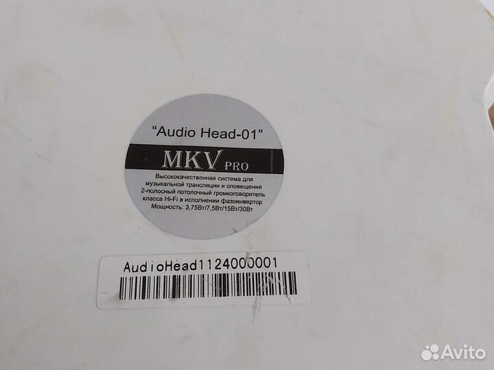 Громкоговоритель 2х-полосный потолочный класса Hi