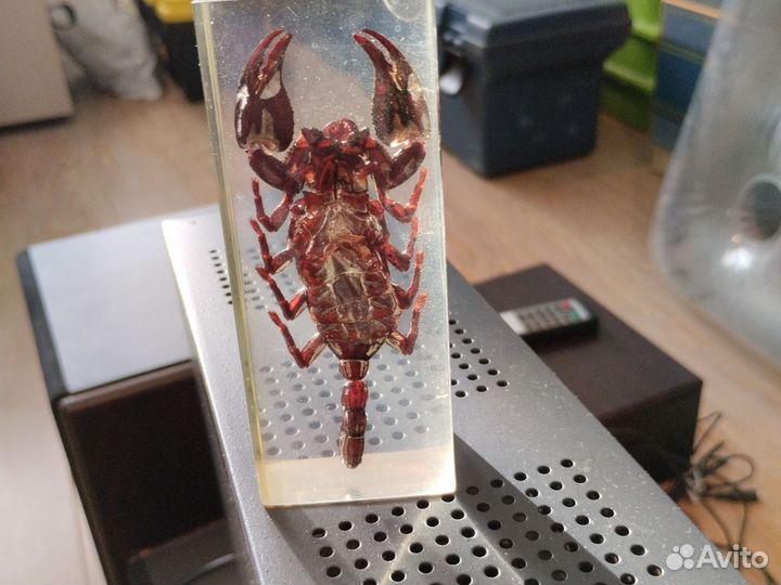 Жуки в смоле. больше