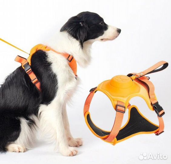 Шлейка для собак с встроенным поводком