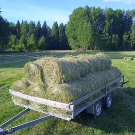 Продам сено в рулонах свежий укос