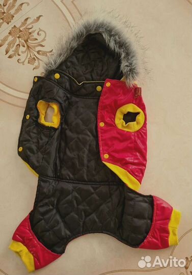 Одежда для собак